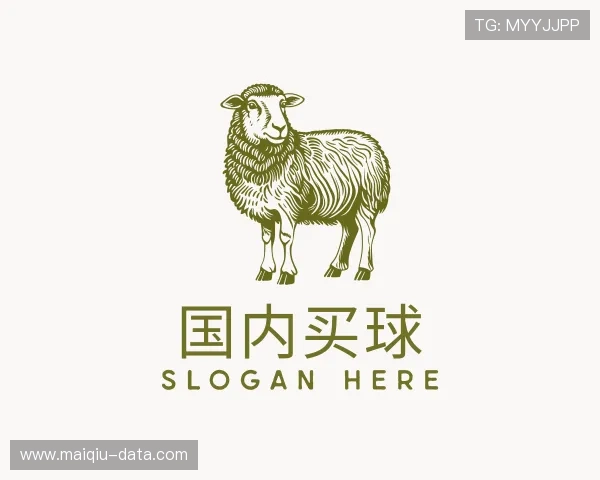 关于买球站足球直播